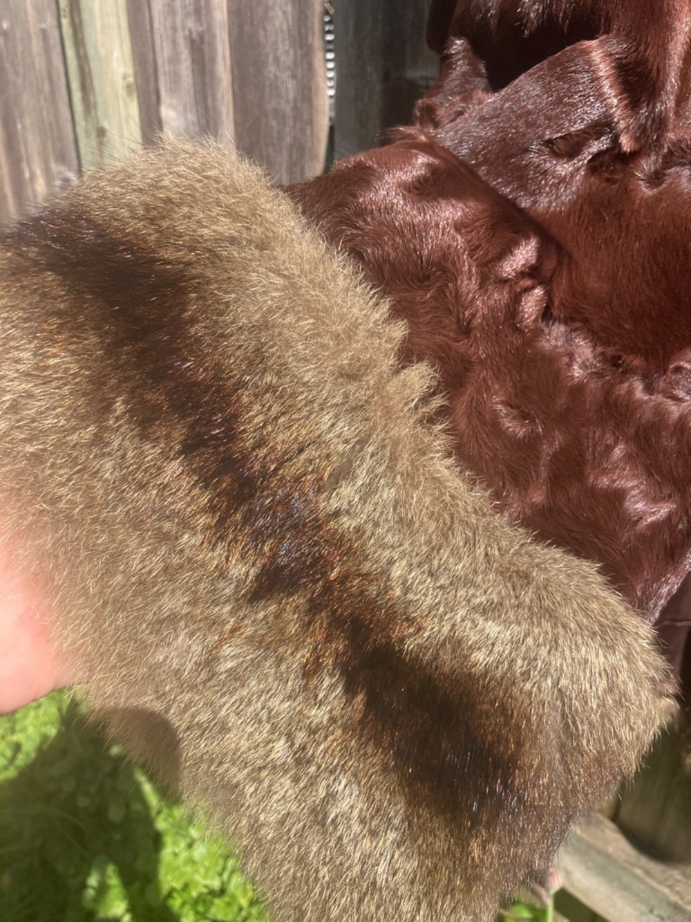 Insane muskrat fur coat - Picture 8 of 14